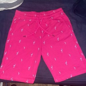 Pink with Lt blue Flamingos in n the shorts